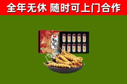 库车回收冬虫夏草价格
